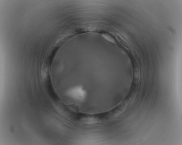 X0000115490503200911061310