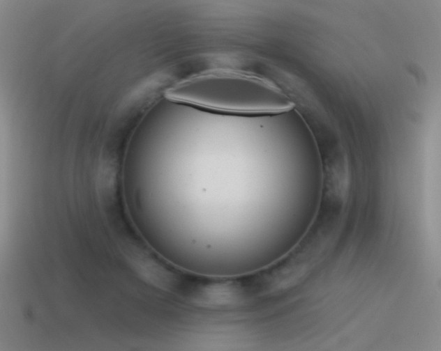 X0000115490505200911061309