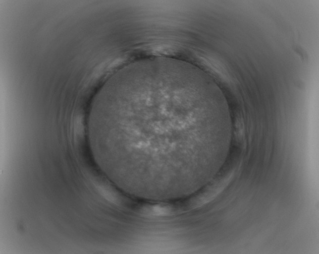 X0000115490506200911061309