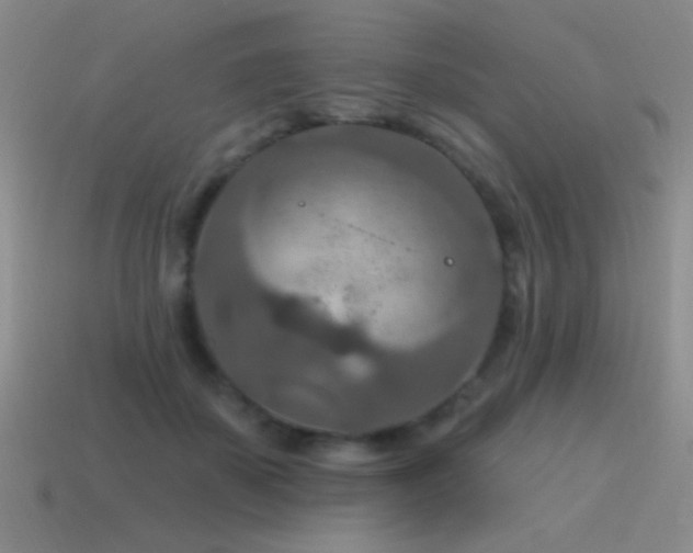 X0000115490507200911061309