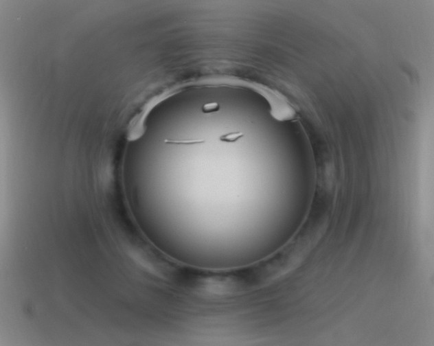 X0000115490508200911061309