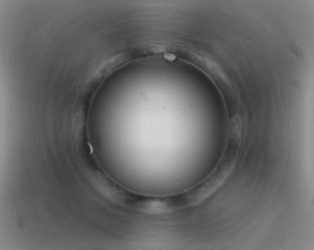 X0000115490509200911061309