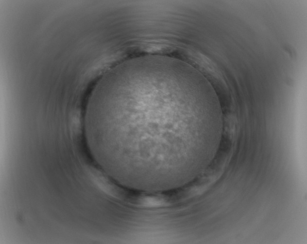 X0000115490510200911061309