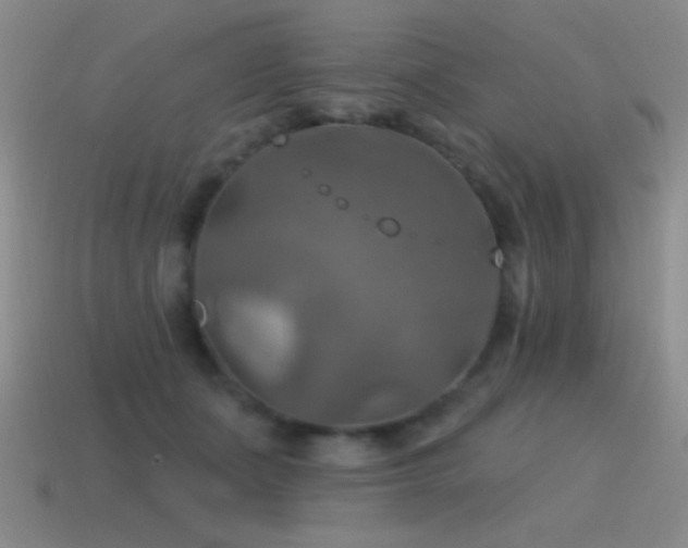 X0000115490511200911061309