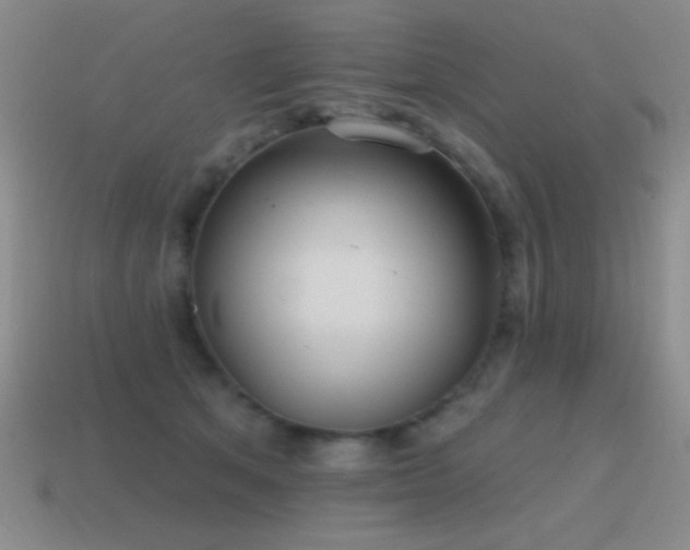 X0000115490513200911061309