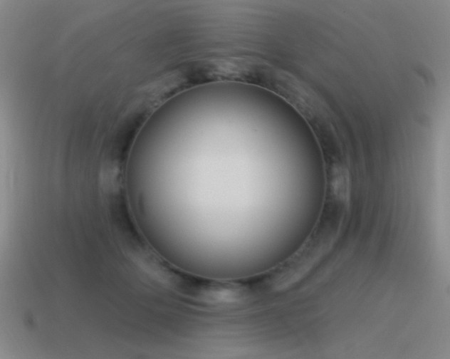 X0000115490514200911061309