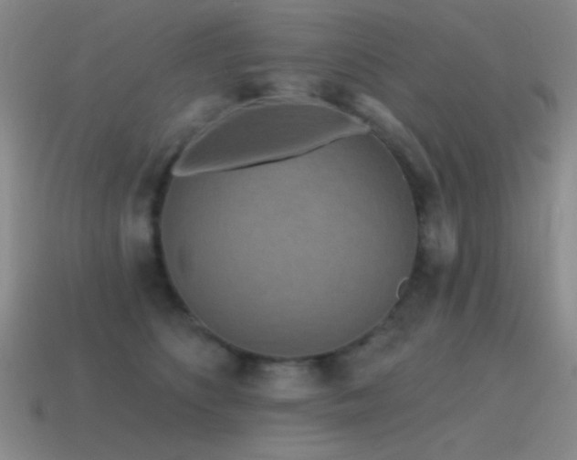 X0000115490516200911061309