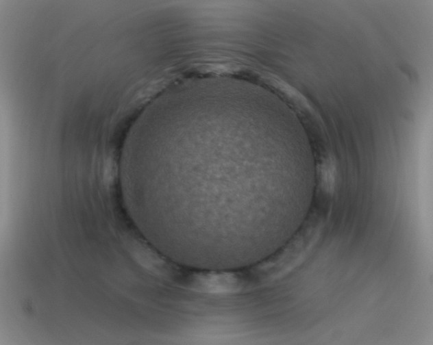 X0000115490517200911061309