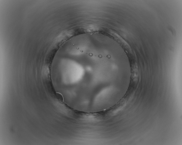 X0000115490523200911061309