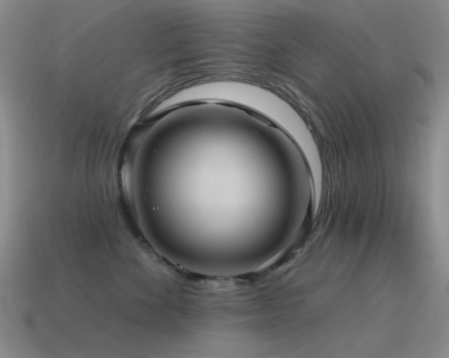 X0000115490524200911061309
