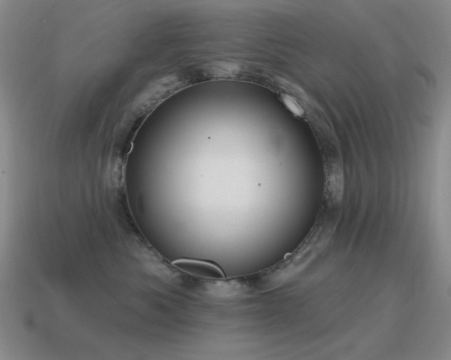 X0000115490525200911061309