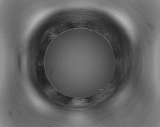 X0000115490526200911061309