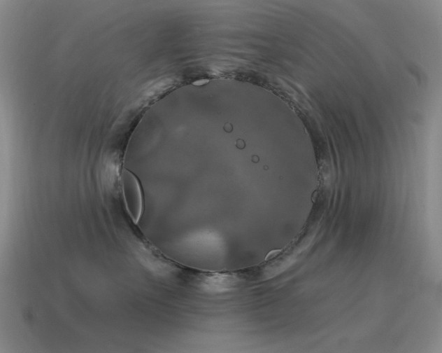 X0000115490527200911061309