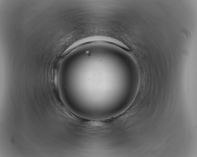 X0000115490528200911061309