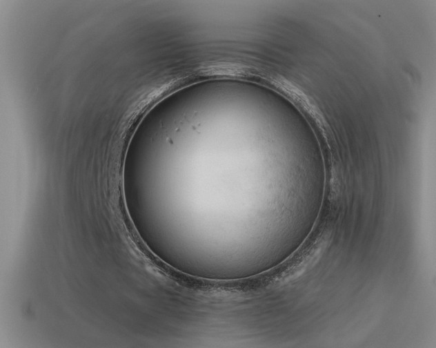 X0000115490529200911061309