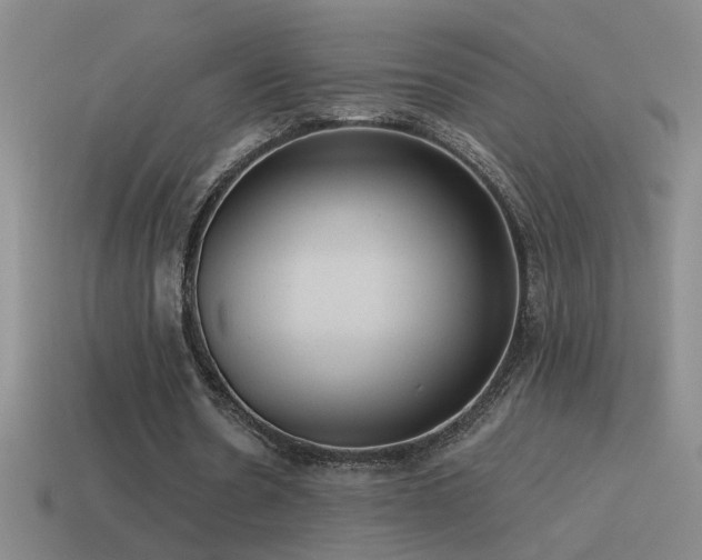 X0000115490530200911061309