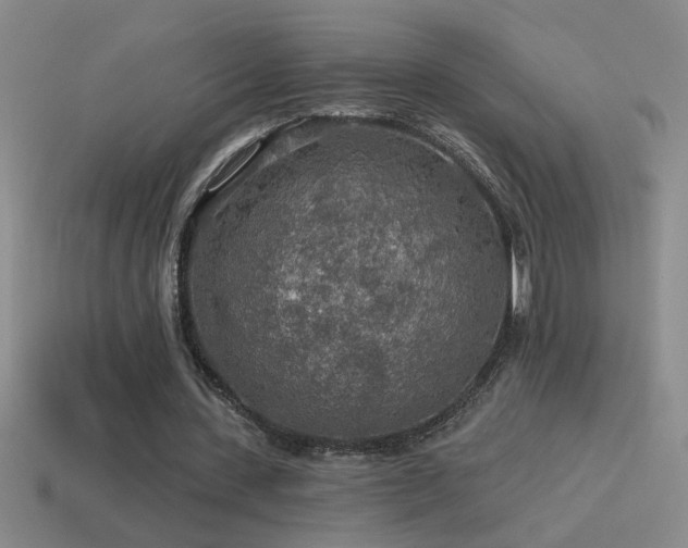 X0000115490531200911061309