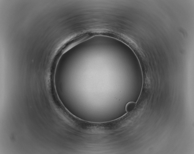 X0000115490535200911061309