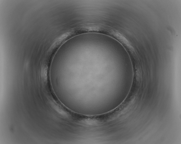 X0000115490537200911061309