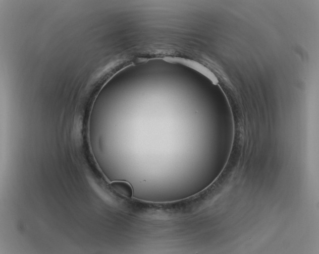 X0000115490538200911061309
