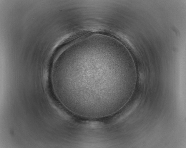 X0000115490539200911061309