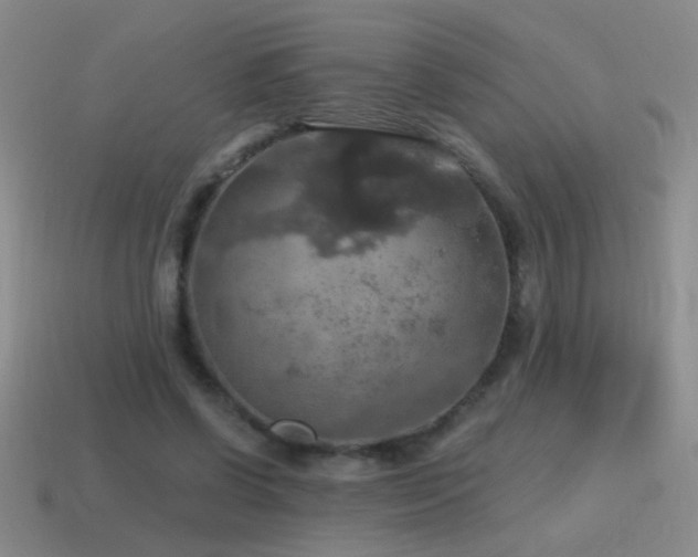 X0000115490542200911061309