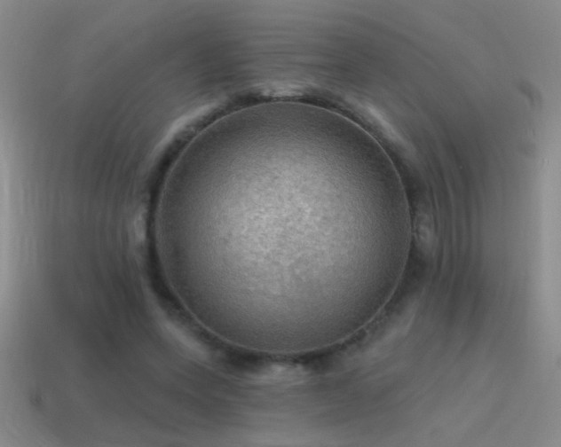 X0000115490543200911061309