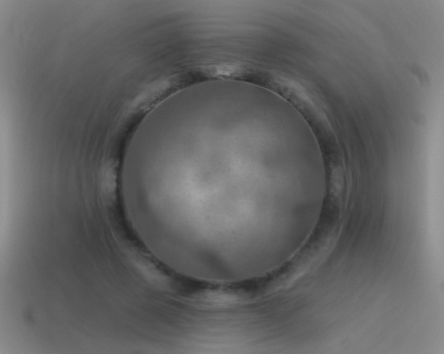 X0000115490545200911061309