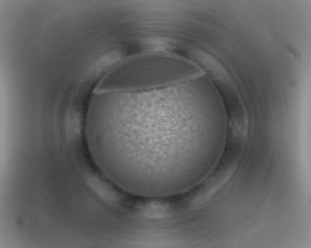 X0000115490546200911061309