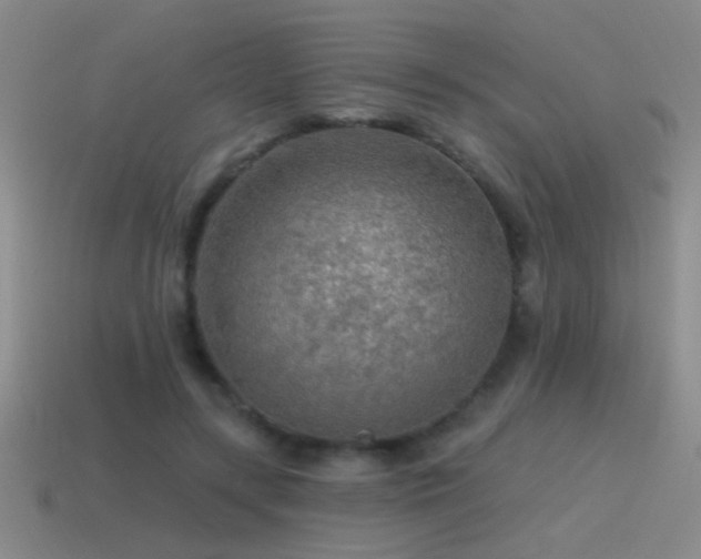 X0000115490547200911061309