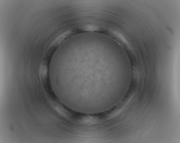 X0000115490549200911061309