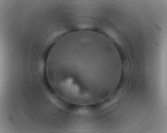 X0000115490550200911061309