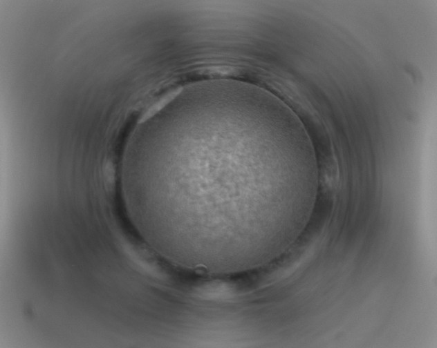 X0000115490551200911061309
