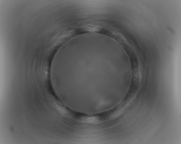 X0000115490553200911061309