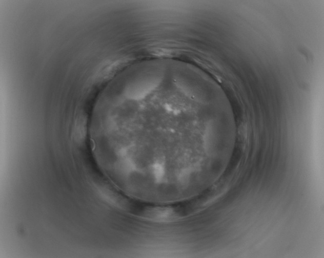 X0000115490554200911061309