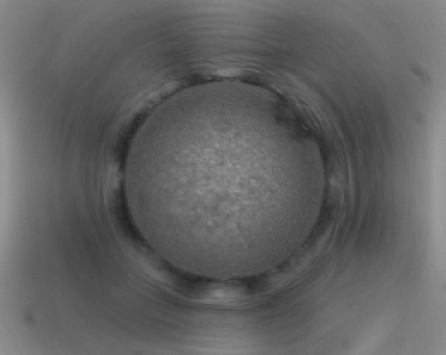 X0000115490555200911061309