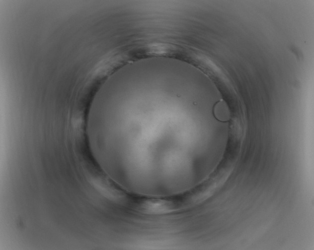 X0000115490557200911061309