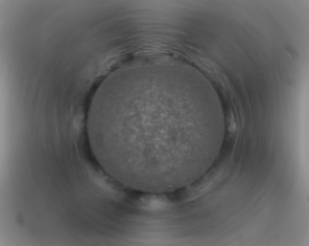 X0000115490559200911061309