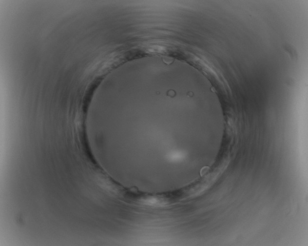 X0000115490561200911061309