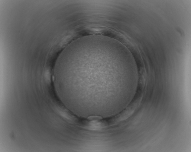 X0000115490562200911061309