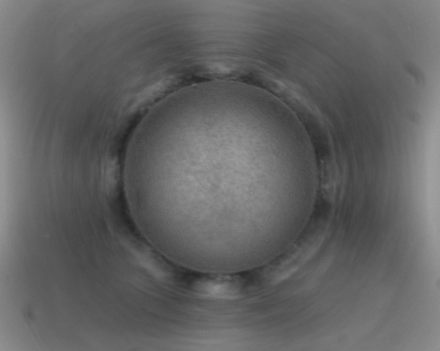 X0000115490563200911061309