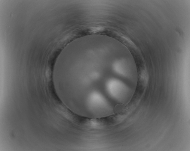 X0000115490565200911061309