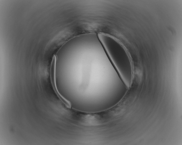 X0000115490566200911061309