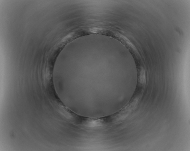 X0000115490569200911061309