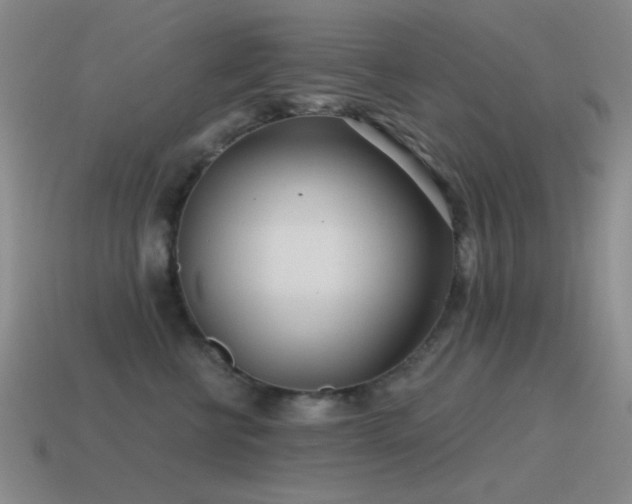 X0000115490570200911061309