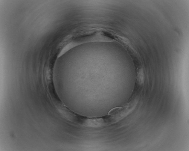 X0000115490571200911061309