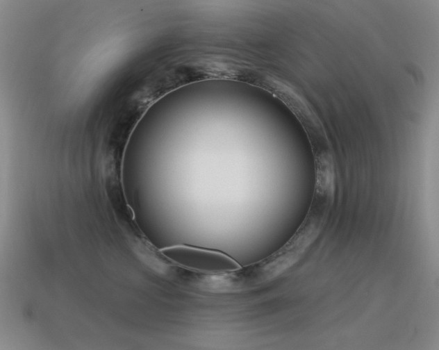 X0000115490573200911061309