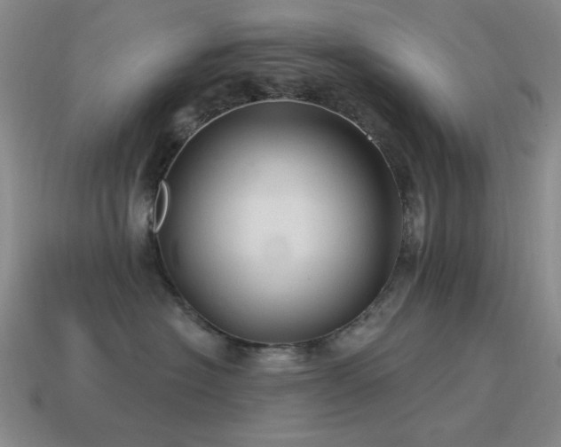 X0000115490574200911061309