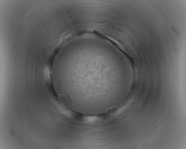 X0000115490575200911061309
