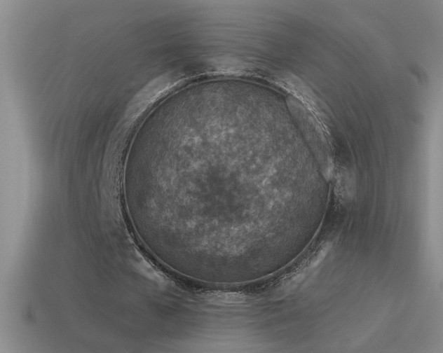 X0000115490577200911061309
